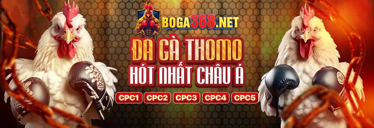 Đá gà trực tuyến 123goal với các trận đấu kịch tính
